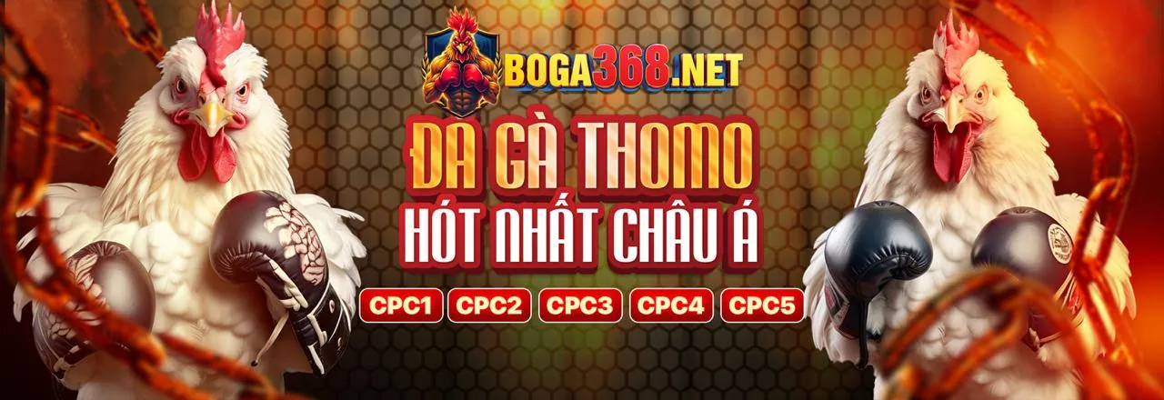 Hướng dẫn cá cược thể thao 6686 bet