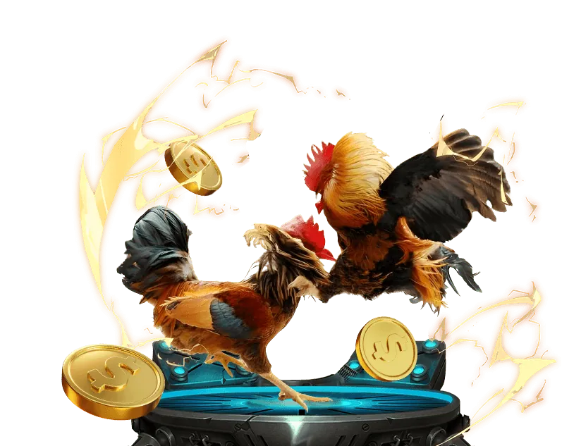 Tổng quan các chương trình khuyến mãi 6686 bet